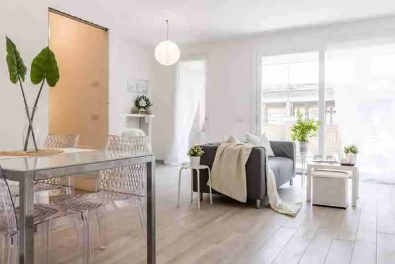 Spazio living luminoso con arredi minimalisti e piante verdi, ideale per un ambiente accogliente e c.
